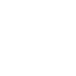 Icono del estado de Florida